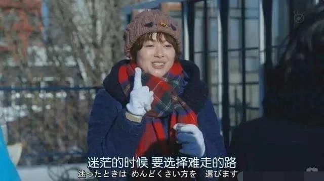 《小狼日记》丨来到叩丁狼后，才发现睡觉是多么奢侈……