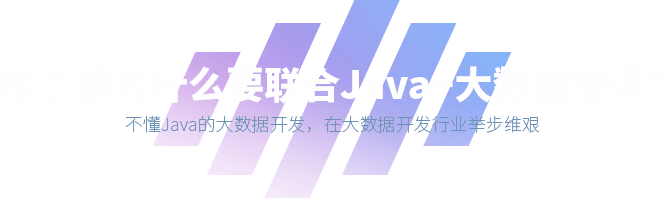 结合Java+大数据